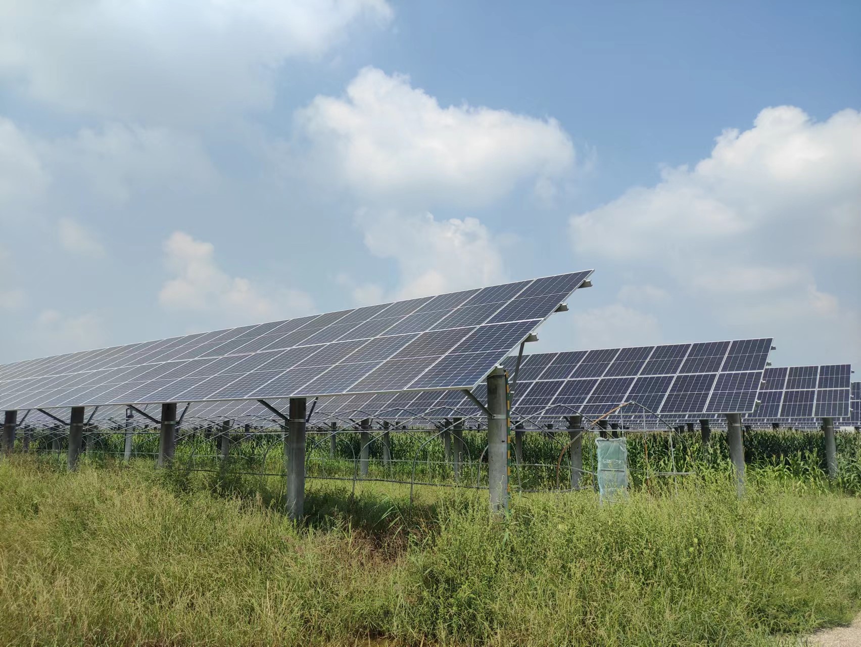 ���ɱ�ŷ��(ABG)�ٷ���վ